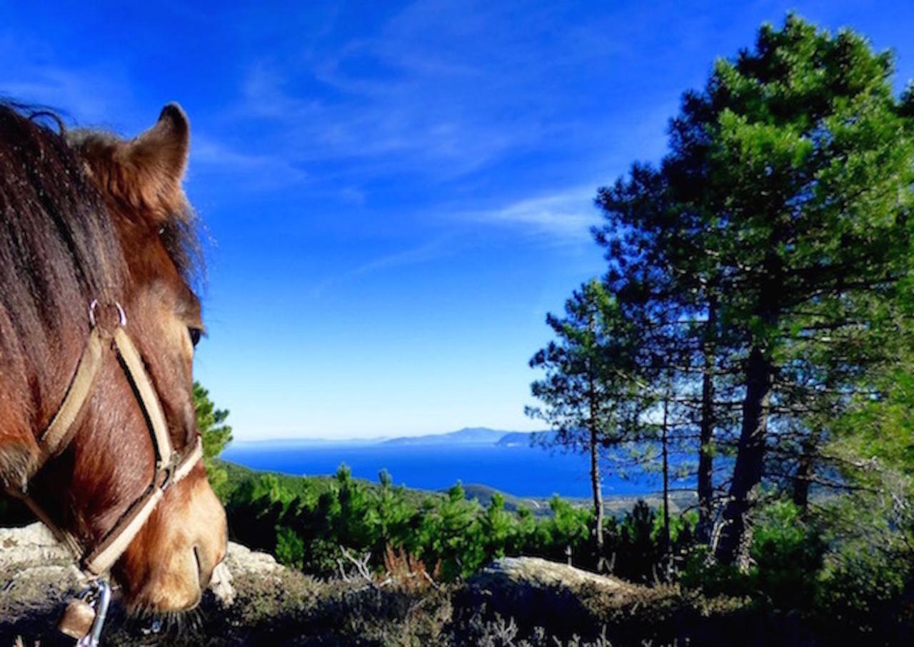 Arxontiko Mytilineou - Skretaion Bed & Breakfast Neochori  Bagian luar foto