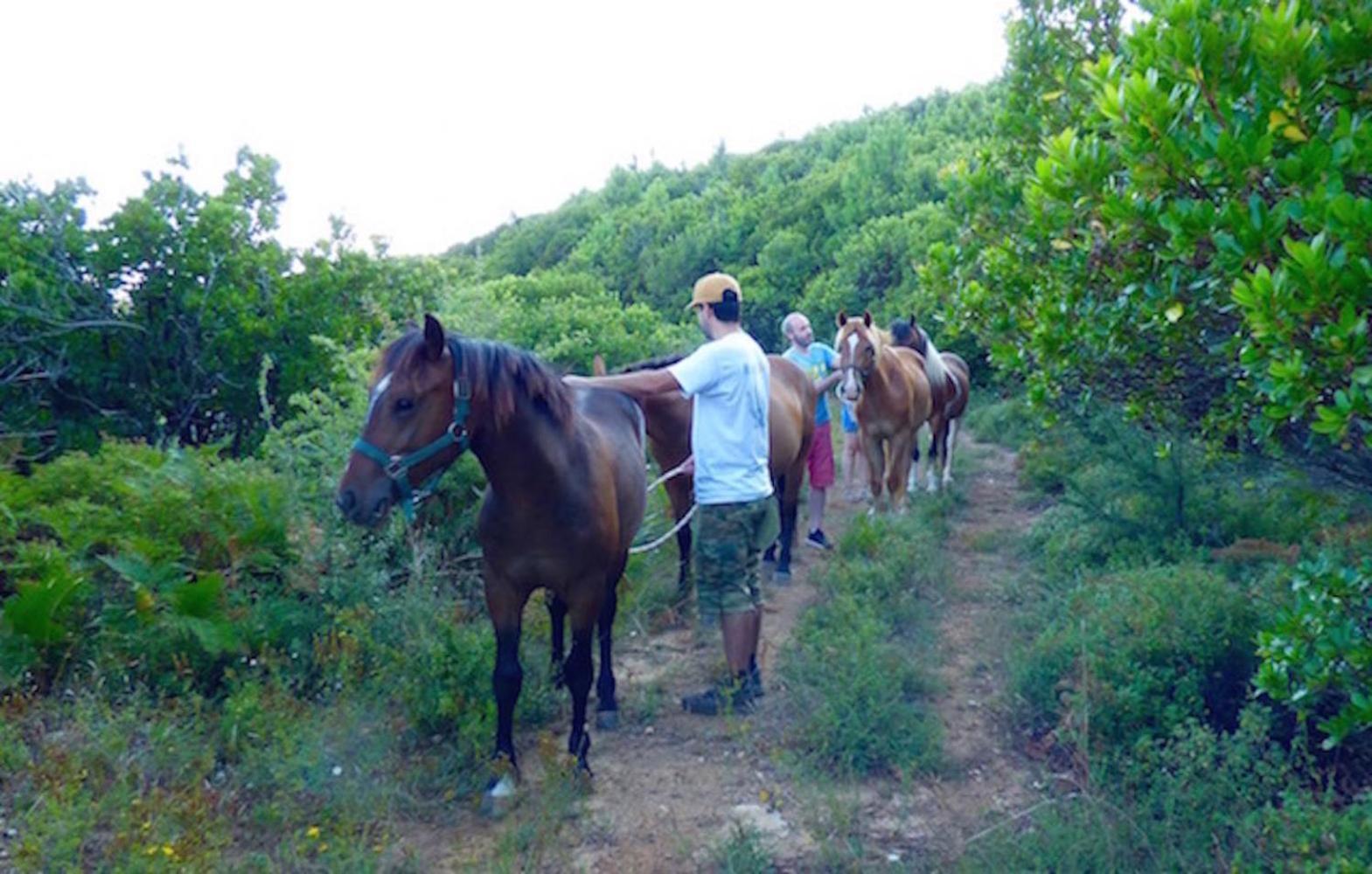 Arxontiko Mytilineou - Skretaion Bed & Breakfast Neochori  Bagian luar foto